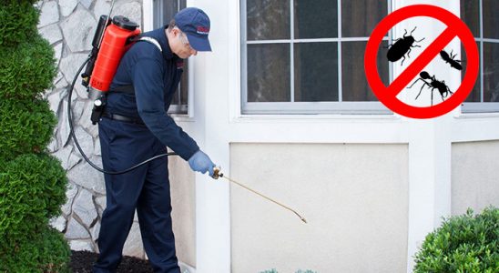 Çubuk Karınca İlaçlama böcek ilaçlama ve haşere kontrolü — ilaclama-tr.com